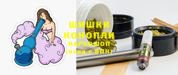 гашик Дегтярск
