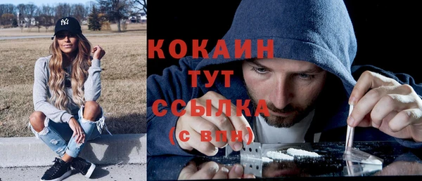 твердый Семилуки