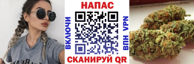 Каннабис сатива  Пенза 
